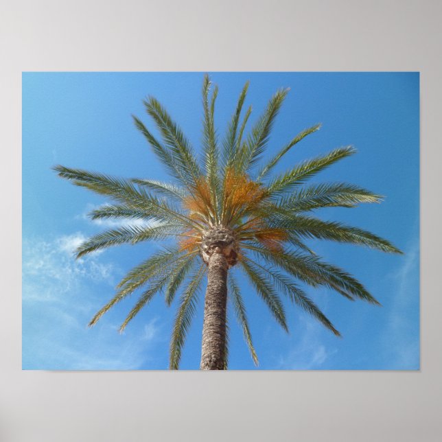 Tropical Palm Tree and Blue Sky Poster (Vorne)