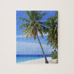 Tropical Palm Tree Beach