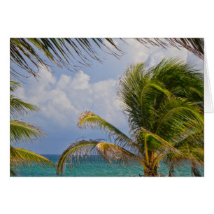 Tropical Palm Tree Gerahmt