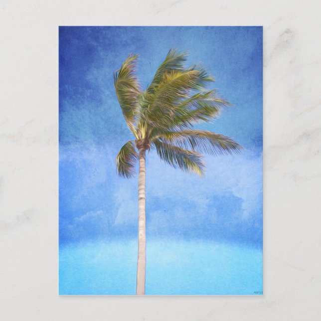 Tropical Palm Tree Postkarte (Vorderseite)