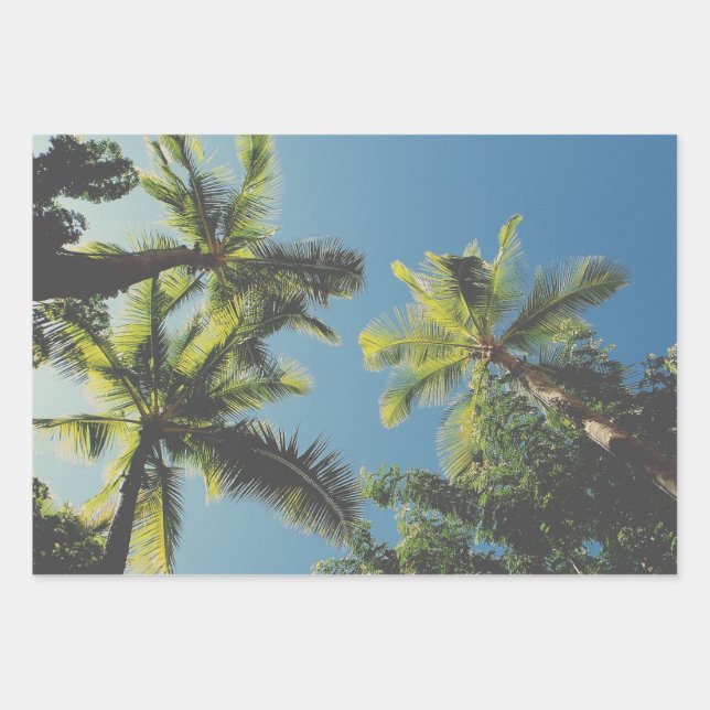 Tropical Palm Tree Sommer Vibe Green Blue Sky Geschenkpapier Set (Vorderseite)