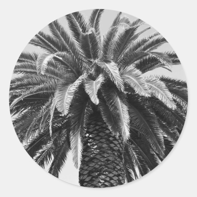 Tropical Palm Tree Sticker (Vorderseite)