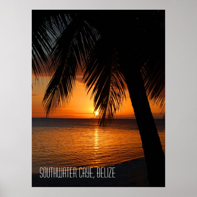 Tropical Palm Tree Sunset in Belize Poster (Vorne)
