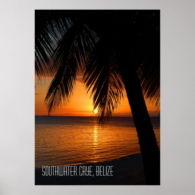 Tropical Palm Tree Sunset in Belize Poster (Vorne)