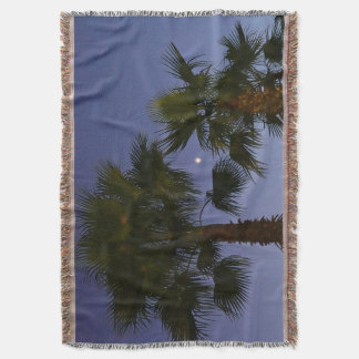 Tropical Palm Tree Wall Art Twilight Coastal Decke