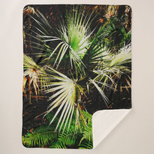 Tropical Palm Trees Beach Oil Painting Photo Sherpadecke