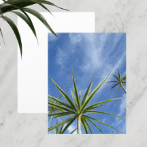 Tropical Palm Trees Blue Sky Scrapbook Paper