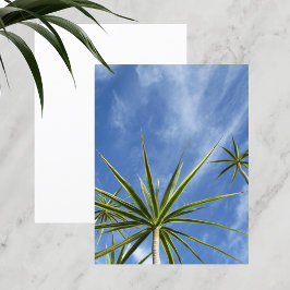 Tropical Palm Trees Blue Sky Scrapbook Paper
