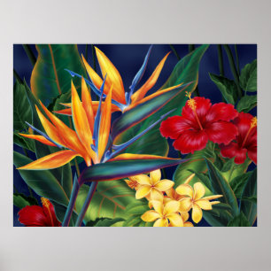 Tropical Paradise Art Poster