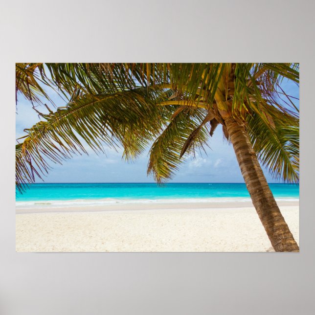 Tropical Paradise Beach Poster (Vorne)