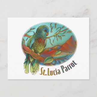 Tropical Parrot of St. Lucia Postkarte