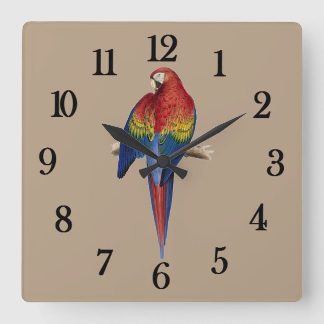 Tropical parrot quadratische wanduhr (Vorderseite)