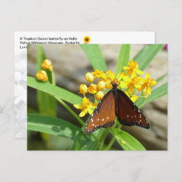 Tropical Queen Butterfly, FL - Postkarte