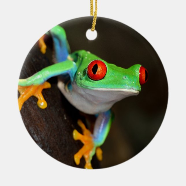 Tropical Red Eye Frog - Agalychnis Callidryas Keramikornament (Vorne)