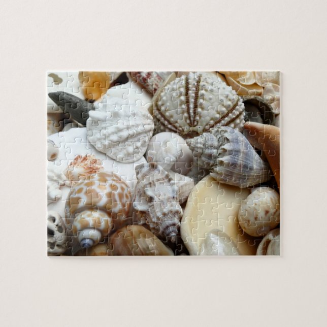 Tropical Seashells Fotografy Puzzle (Horizontal)