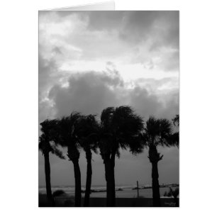Tropical Stormy Skies Grayscale