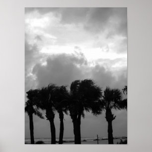 Tropical Stormy Skies Grayscale Poster