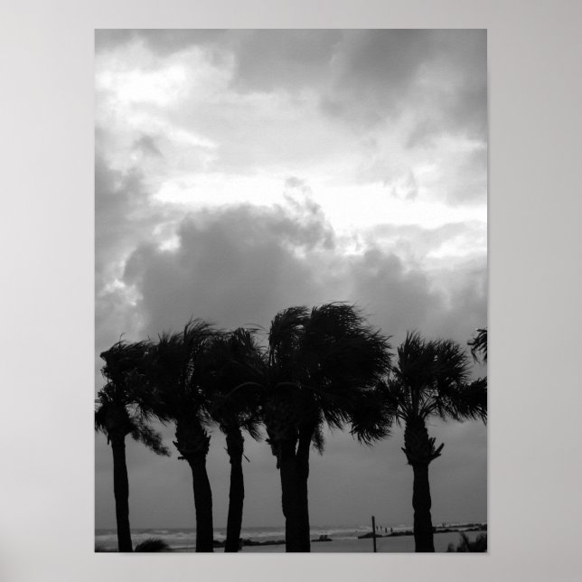 Tropical Stormy Skies Grayscale Poster (Vorne)