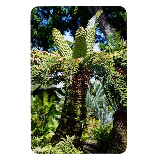 Tropical Tree Foto Magnet (Vertikal)