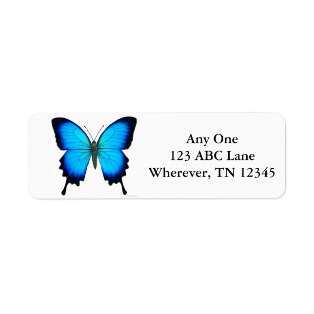 Tropical Ulysses Butterfly Label (Vorne)