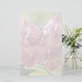 Tropical Vanda Orchid Cluster Briefpapier