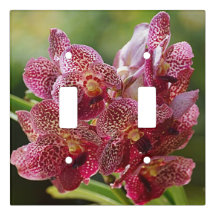 Tropical Vanda Orchid Cluster Light Switch Abdecku