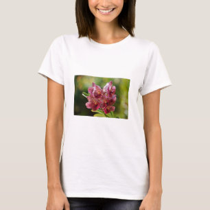 Tropical Vanda Orchid Cluster T-Shirt