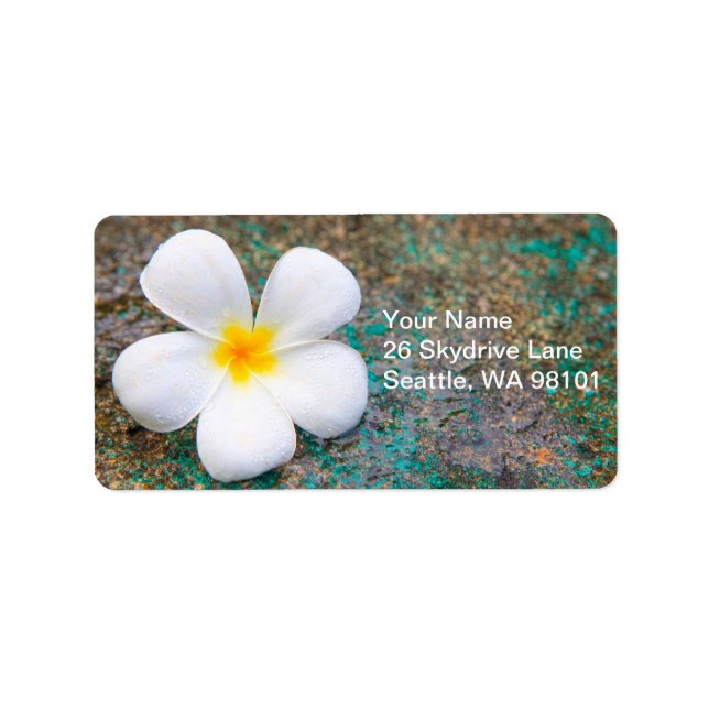 Tropical White Plumeria Blume Adressaufkleber (Vorne)
