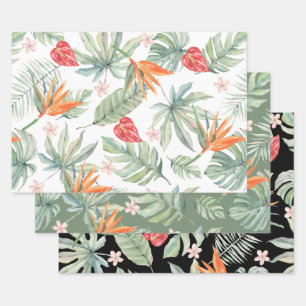 Tropics Blume Foliage Fantasy mit Monogram Geschenkpapier Set