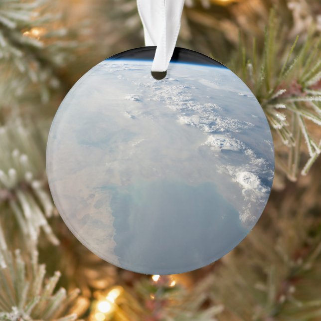 Tropisch blaue Gewässer des Persischen Golfs. 2 Ornament (Baum)