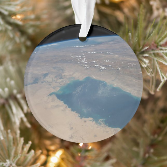 Tropisch blaue Gewässer des Persischen Golfs. Ornament (Baum)
