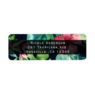 Tropisch Blumiger Hibiskus Blätter Sommer Einladun
