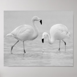 Tropisch-druckbare Kunst und Kunst in Schwarz und  Poster