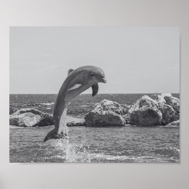 Tropisch-druckbare Schwarz-Weiß-Dolphin-Kunst Poster (Vorne)