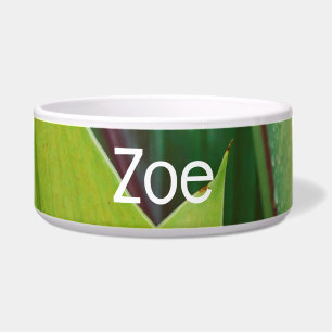 Tropisch grüne Blätter Pet Bowl mit ZEO Text Napf