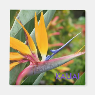 Tropisch-hawaiianische Blume Bird-of-Paradise Kaua Magnet