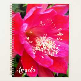 Tropisch Hot Pink Epie Blume Foto Planer