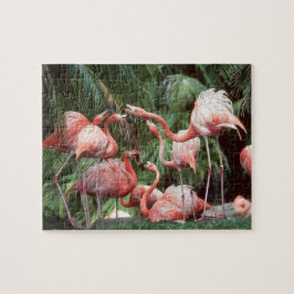 Tropisch rosa Flamingos Familie Ruhe Spaß