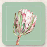 Tropisch rosa Protea auf Mintplastik Getränkeuntersetzer<br><div class="desc">Eine wunderschöne handbemalte Aquarellblüte mit rosa Protea Blumenblüte auf einem minzgrünen Hintergrund,  diese Kunststoff-Untersetzer sind schön für Ihre Zuhause,  Verwendung in einem Party,  geben als Geschenk. Woll KUNSTSTOFF NICHT? Fügen Sie dieses Design zu schweren Untersetzer aus Papier,  Glas oder Stein. Übereinstimmungen von Artikeln in unserem Geschäft —> http://bit.ly/2TLWeM5 <—</div>