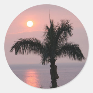 Tropisch rosa Sonnenuntergang und Palme Runder Aufkleber