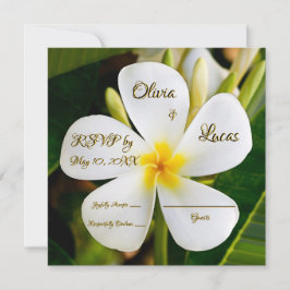 Tropisch-weiße Plumeria - Neubeginn - UAWG Einladung