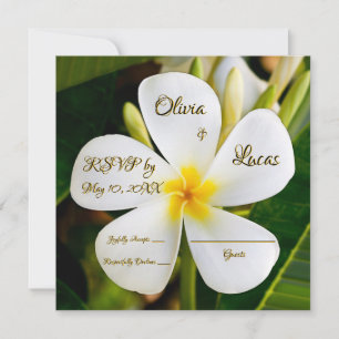 Tropisch-weiße Plumeria - Neubeginn - UAWG Einladung