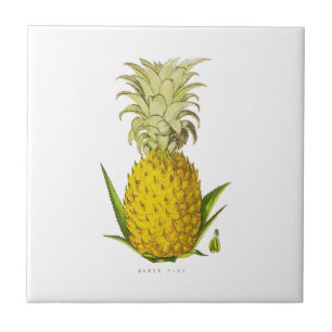 Tropische Akzent-Ananas-Vintage-Illustration Fliese
