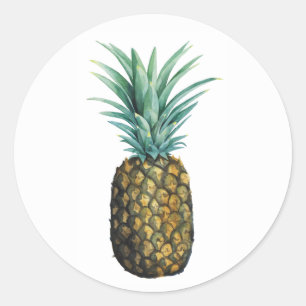 Tropische Ananas Runder Aufkleber