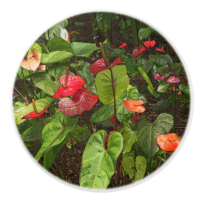 "TROPISCHE ANTHURIUM-PFLANZE" KERAMIK TÜR/PULL CER KERAMIKKNAUF (Vorderseite)