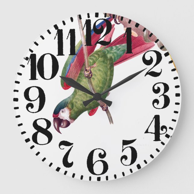 Tropische Ara-Papagei-Vogel-Mauer-Uhr Große Wanduhr (Vorderseite)