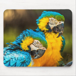 Tropische Begleiter-Wildlife-Foto-Wandkunst-Druck Mousepad