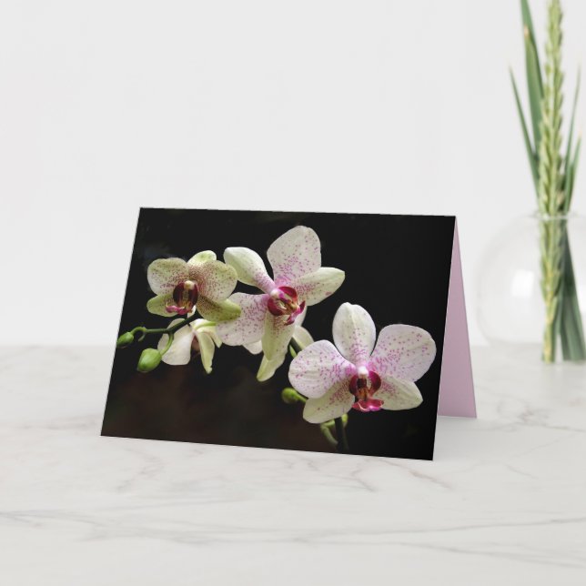 Tropische Blume Grußkarte Karte (Vorderseite)