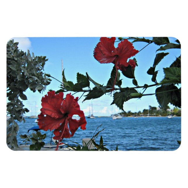 Tropische Blume Magnet (Horizontal)