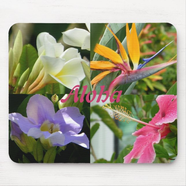 Tropische Blumen von HibiskusPlumeria Kauais Mousepad (Vorne)